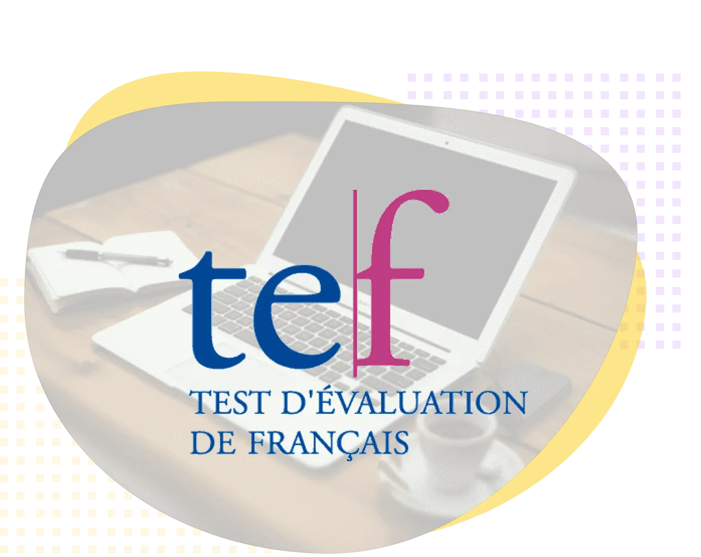 Faramarz landing 2025 09 19T161504.961